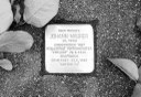 Bild 1: Stolperstein Kunstwerk G. Demnig, Foto N. Bambusch