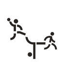 Icon Sport