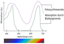 Grafik zur Absorption
