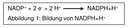 Abbildung 1