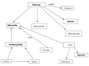 Conceptmap