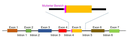 Schema Mutation