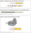 Schemata 1 - 3