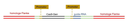 Funktionsweise eines CRISPR-Cas9-Genedrives