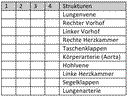 Beschreibung