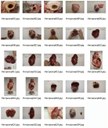 alle Bilder