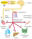Diagramm