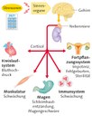 Diagramm