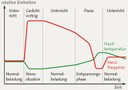 Beschreibung