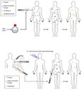 Immunisierung