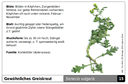 Suchkarte