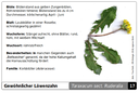 Suchkarte