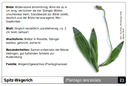 Suchkarte