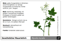 Suchkarte