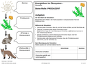 Simulation: Dokumentationsbogen