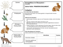 Simulation: Dokumentationsbogen