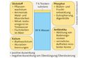 Auswirkung