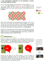 Inhalt LernBox