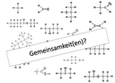 Beschreibung