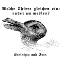 Kaninchen und Ente