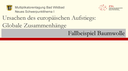 Beschreibung