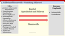 Beschreibung