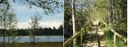 Wildsee