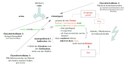 Schaubild zum Prooemium der Aeneis