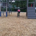 Beschreibung