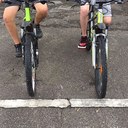 Beschreibung