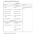 Stufenspezifische Hinweise