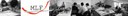MLF-Banner