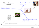 Organizer Biologie