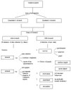 Lösung: Marketreasearch Structure