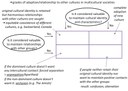 Acculturation