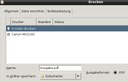 pdf drucken