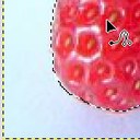 Ameisen