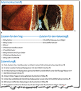 chaotische Formatierung