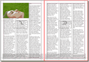 Text laden