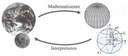 Mathematisieren Interpretieren