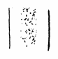 kein Interfernzmuster <q>verwaschen</q>