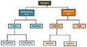 Schema