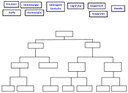 Schema mit Zuordnung