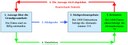 Schema