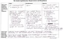 Die Sonderwegsdiskussion: Hauptvertreter und Hauptthesen