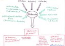 Diskussion: Historische Wahrheit