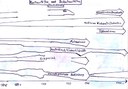 Kontinuitäten und Diskontinuitäten Deutschlands, Menschenrechre,Demokatie, Wirtschaft, Föderalismus, Nationalismus, Kriegerisch etc