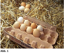 Eierschachtel