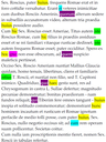Sprachliche Analyse