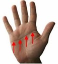 Vierfinger